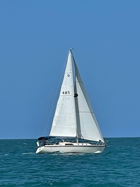 1985 O'Day O'DAY 35 in clearwater FL