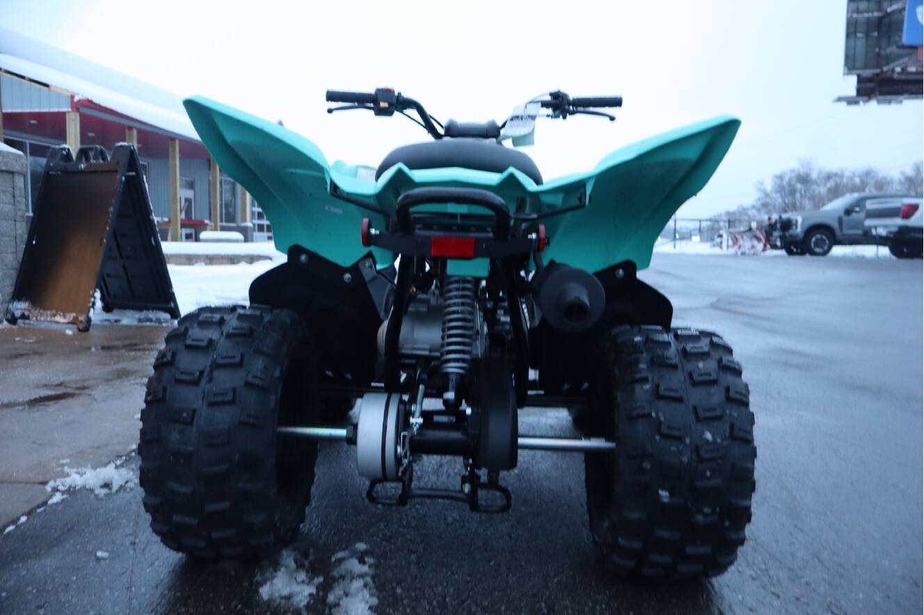 A photo of this 2025 Yamaha Raptor 110