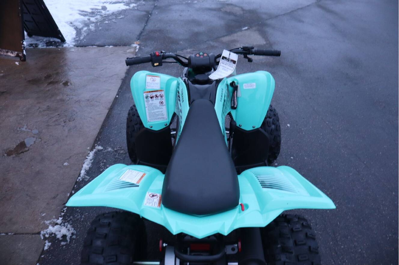 A photo of this 2025 Yamaha Raptor 110