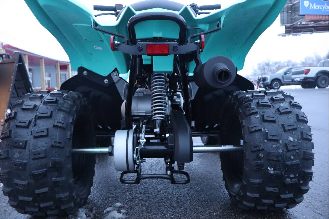 A photo of this 2025 Yamaha Raptor 110