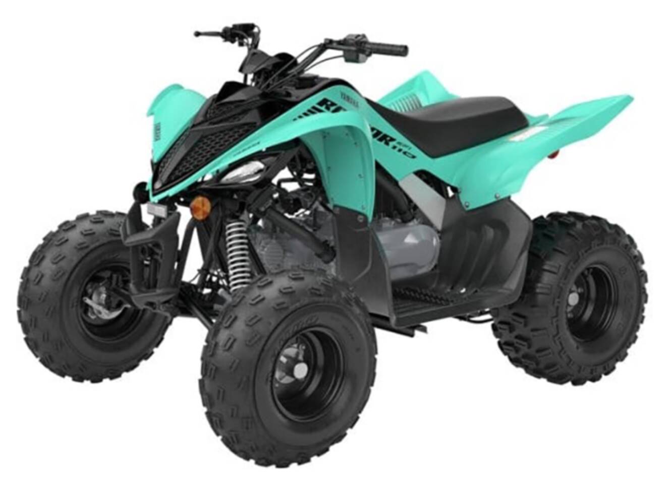 A photo of this 2025 Yamaha Raptor 110