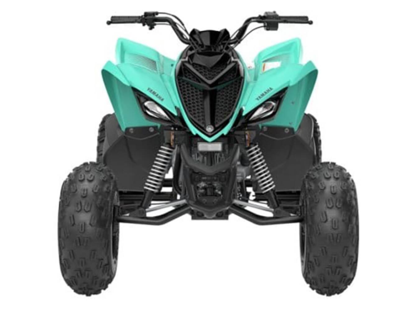 A photo of this 2025 Yamaha Raptor 110