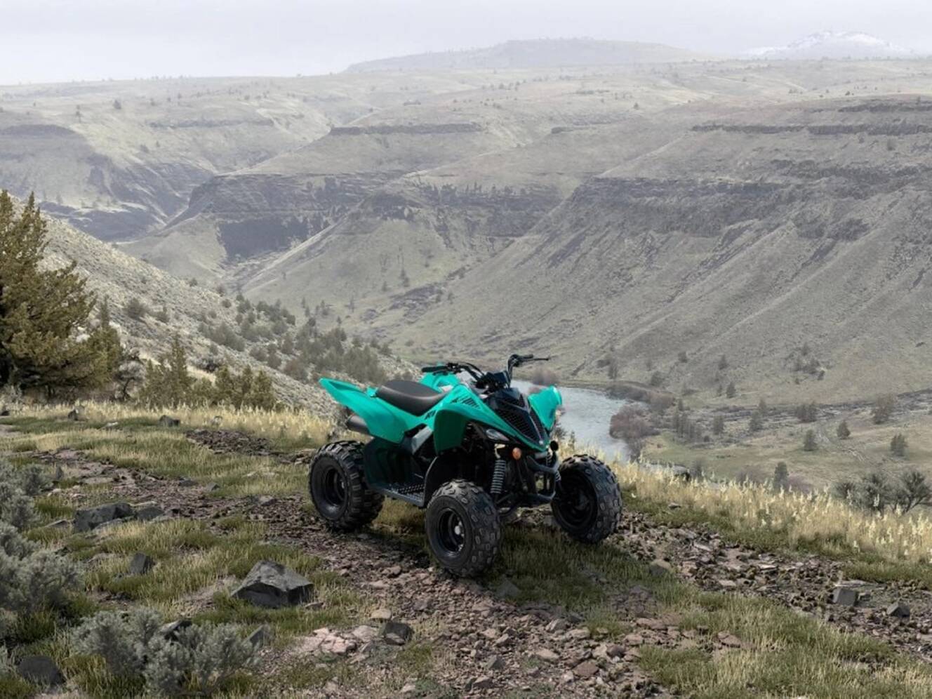 A photo of this 2025 Yamaha Raptor 110