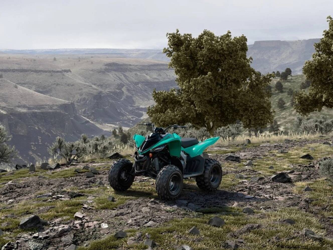 A photo of this 2025 Yamaha Raptor 110
