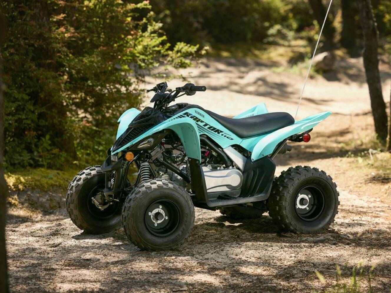 A photo of this 2025 Yamaha Raptor 110