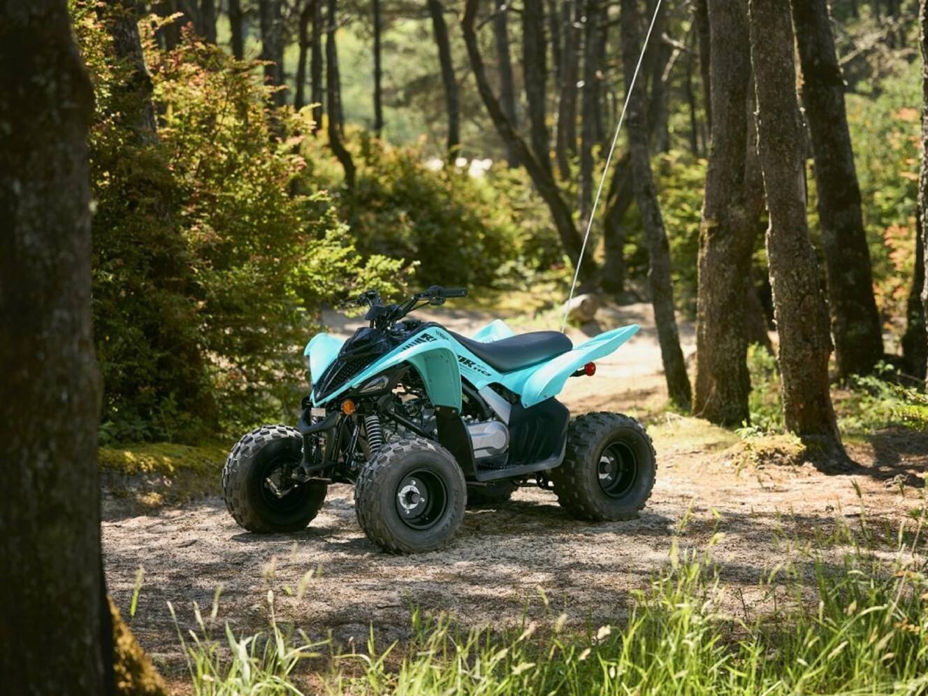 A photo of this 2025 Yamaha Raptor 110