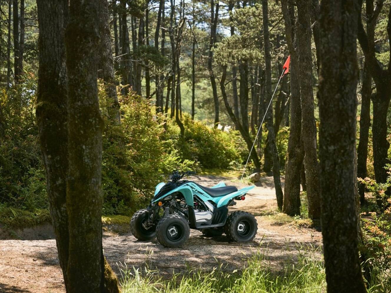 A photo of this 2025 Yamaha Raptor 110