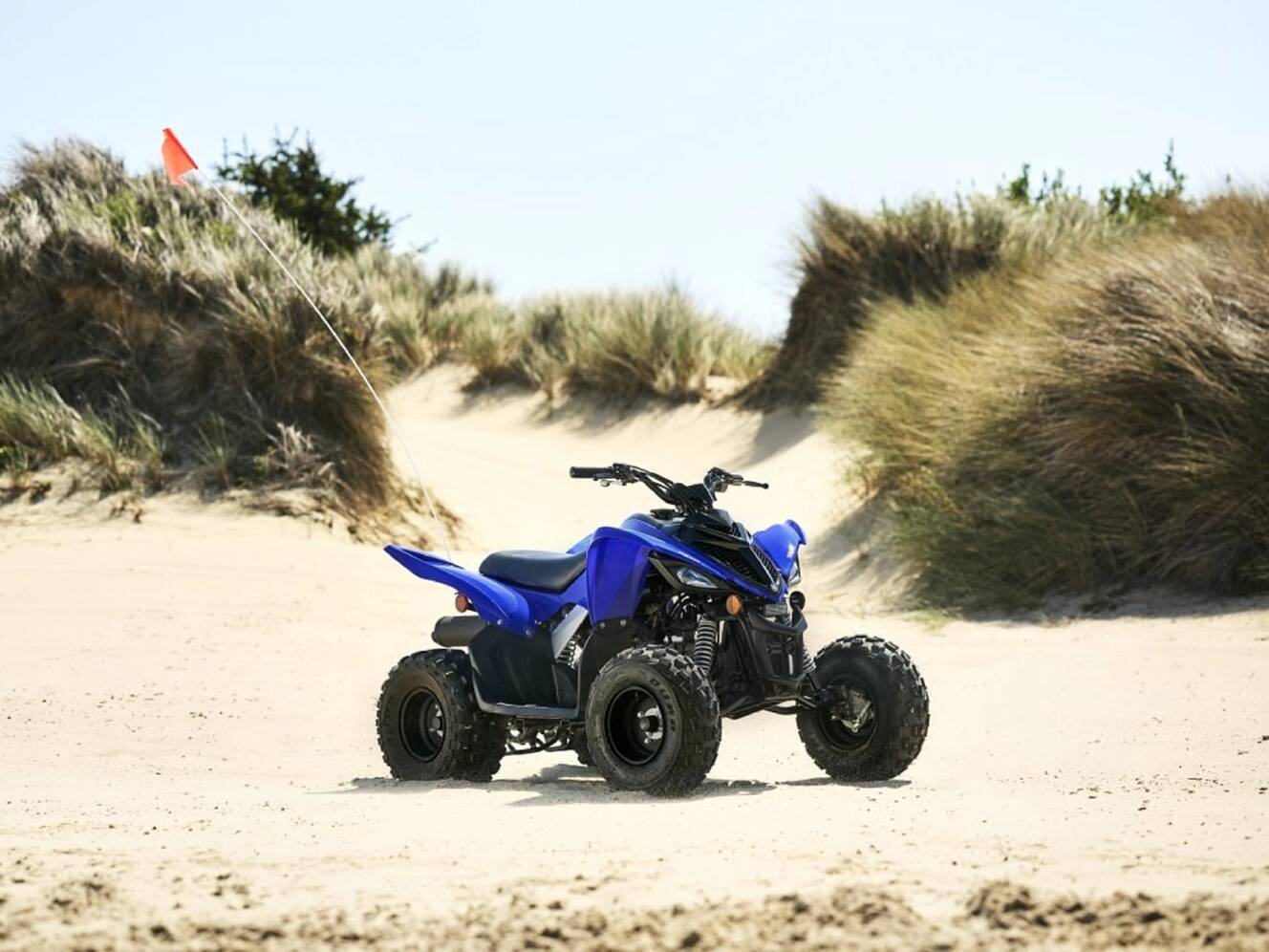A photo of this 2025 Yamaha Raptor 110
