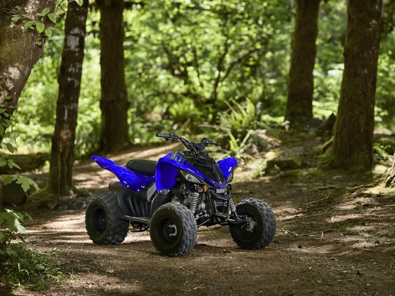 A photo of this 2025 Yamaha Raptor 110
