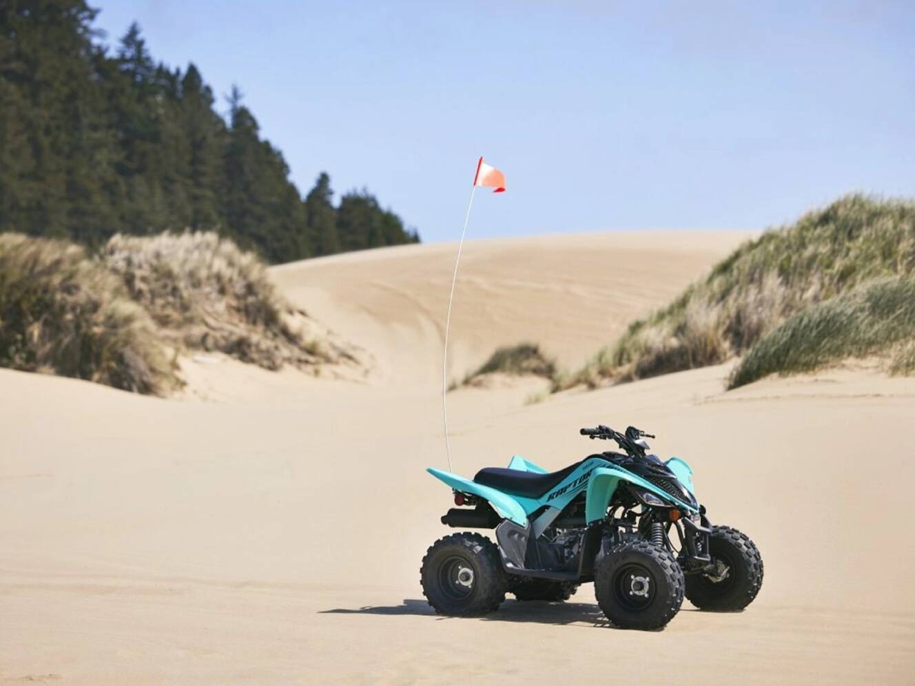 A photo of this 2025 Yamaha Raptor 110