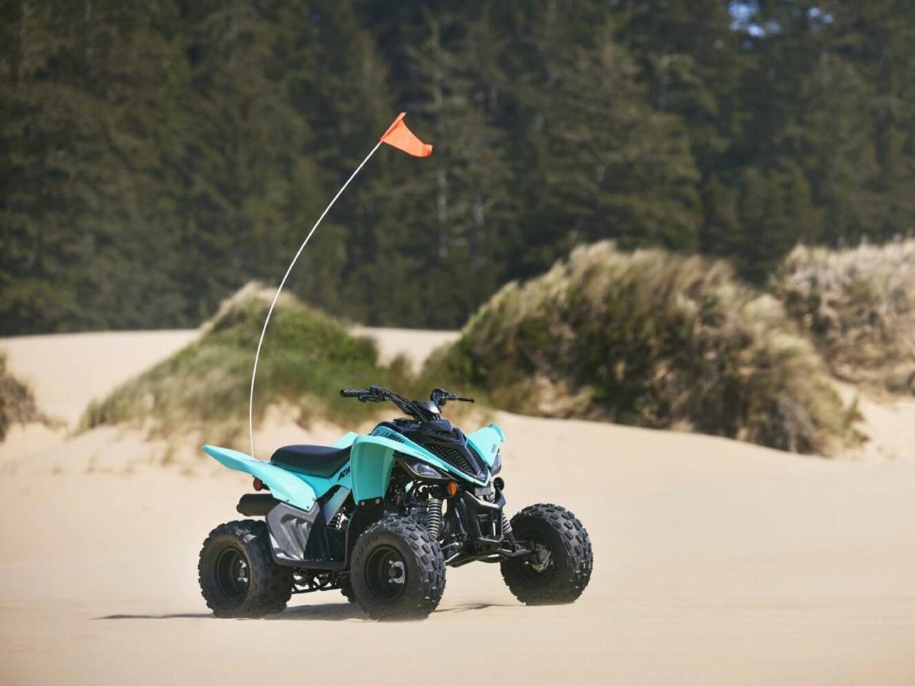A photo of this 2025 Yamaha Raptor 110