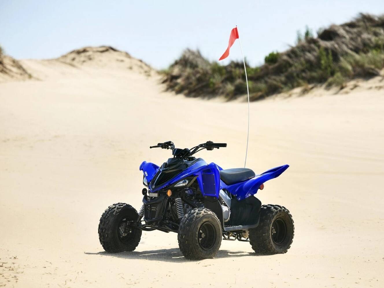 A photo of this 2025 Yamaha Raptor 110