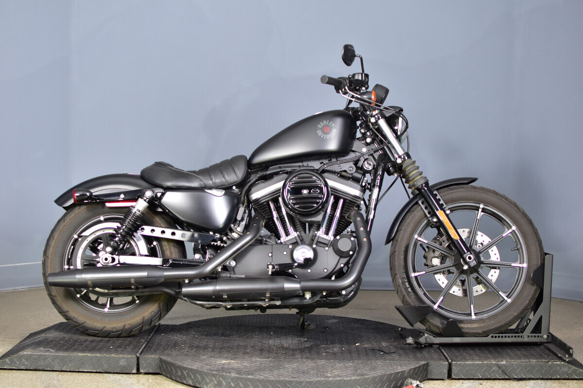 2008 Harley-Davidson Sportster 883 Motorcycles For Sale - Cycle Trader