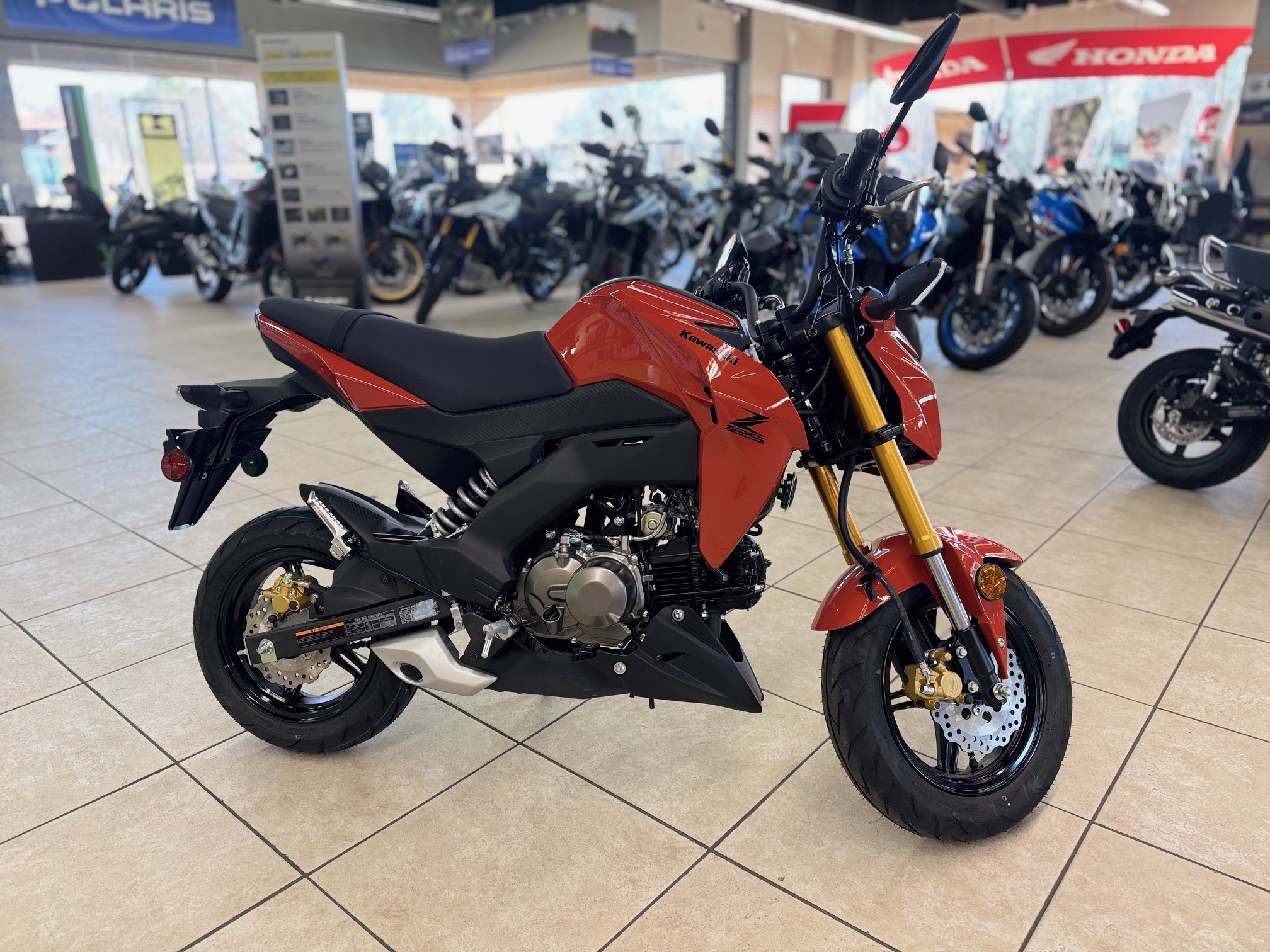 2025 Kawasaki Z125 PRO BASE in Lowell, NC