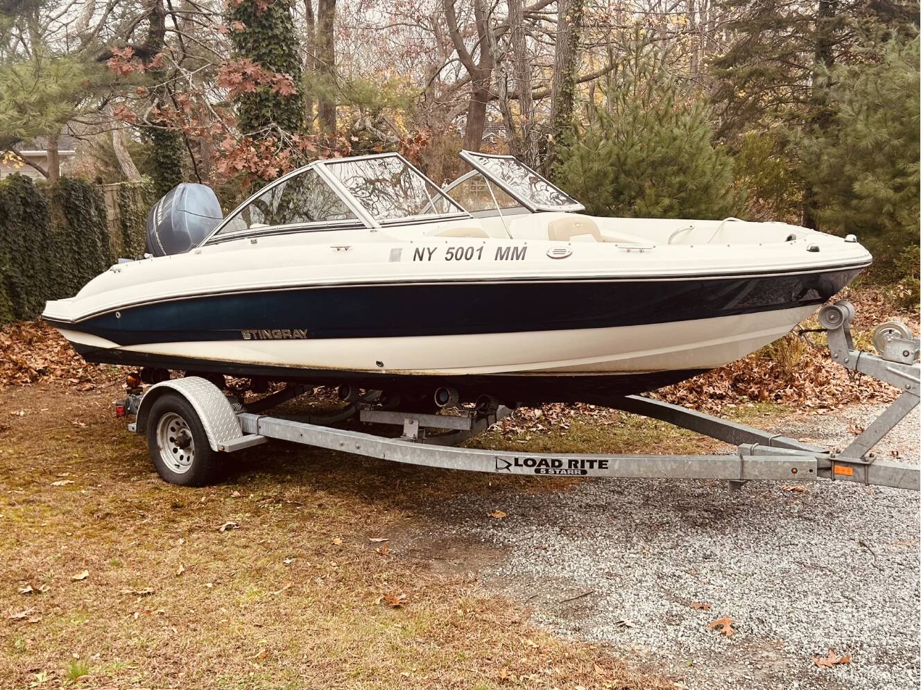 A photo of this 2016 Stingray 19 Stingray