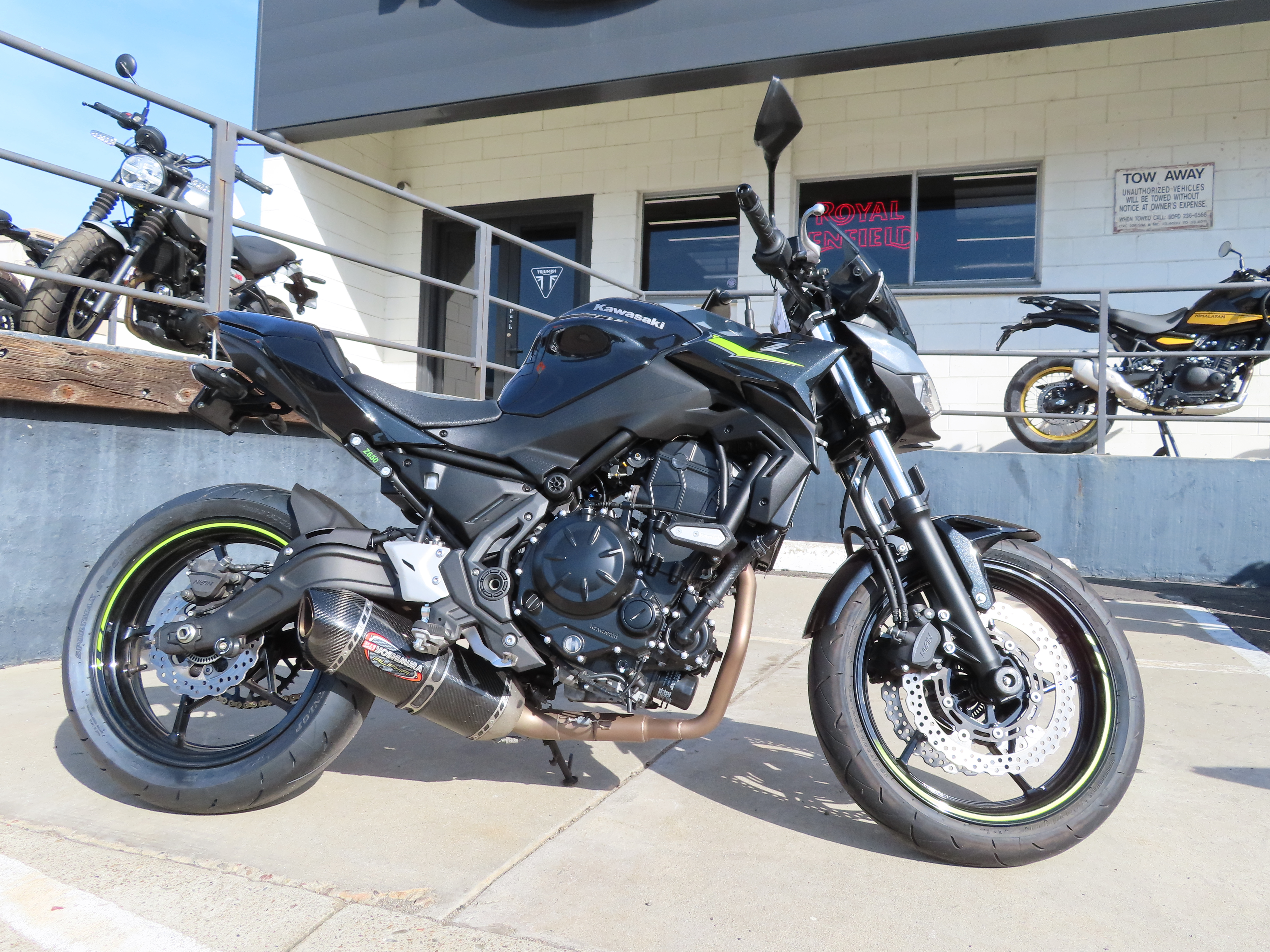 2024 Kawasaki Z 650 650 in San Diego, CA
