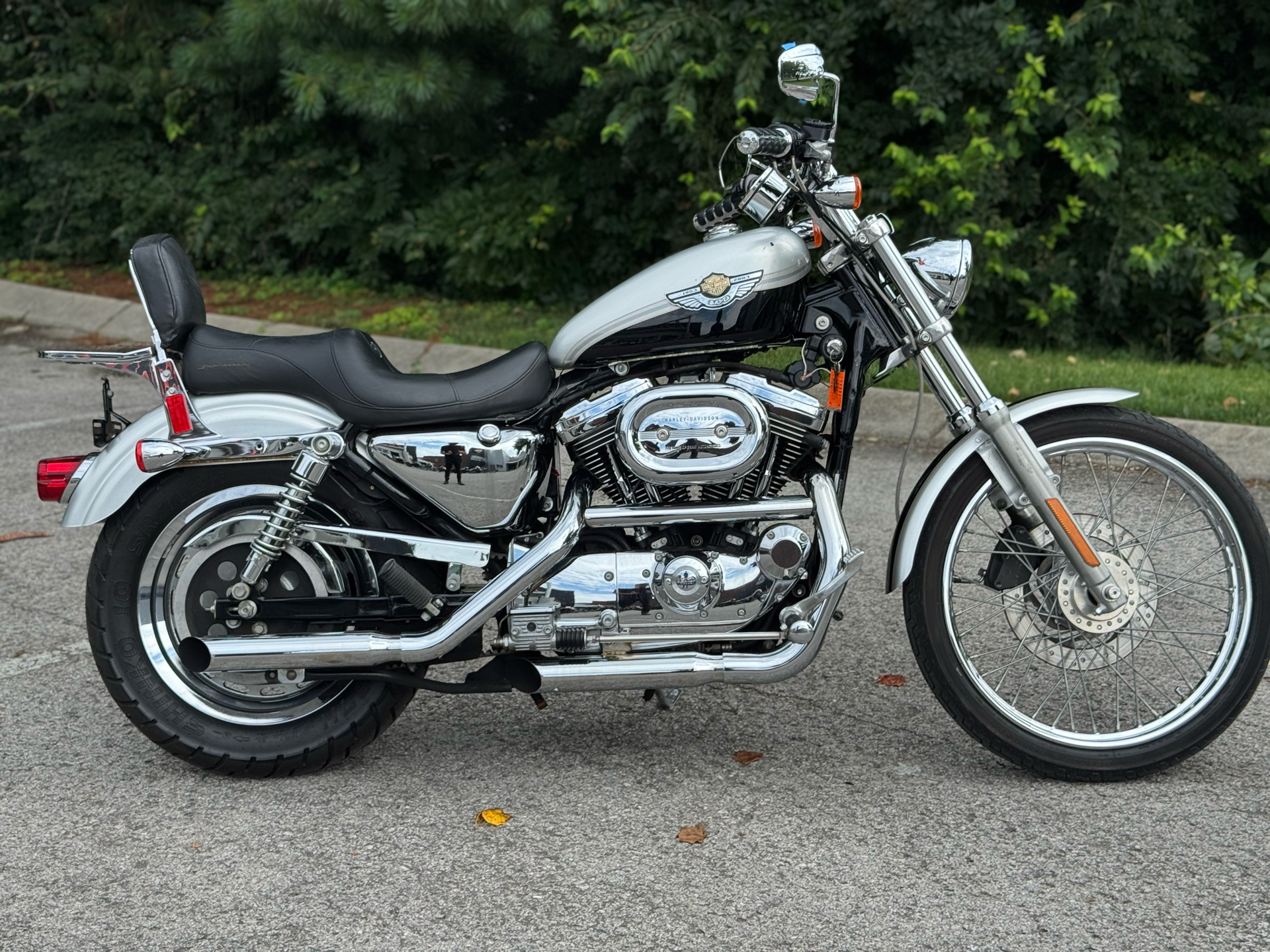 2003 Harley-Davidson Sportster 1200 Motorcycles For Sale - Cycle