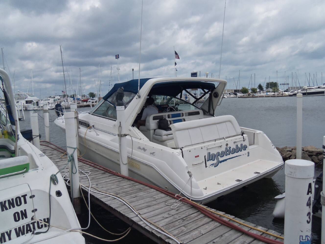 A photo of this 1990 Sea Ray 310 Sundancer