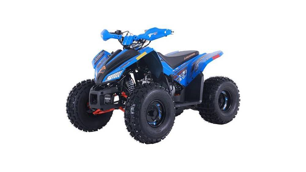 2026 Denago TRAILHAWK 10FI Youth ATV