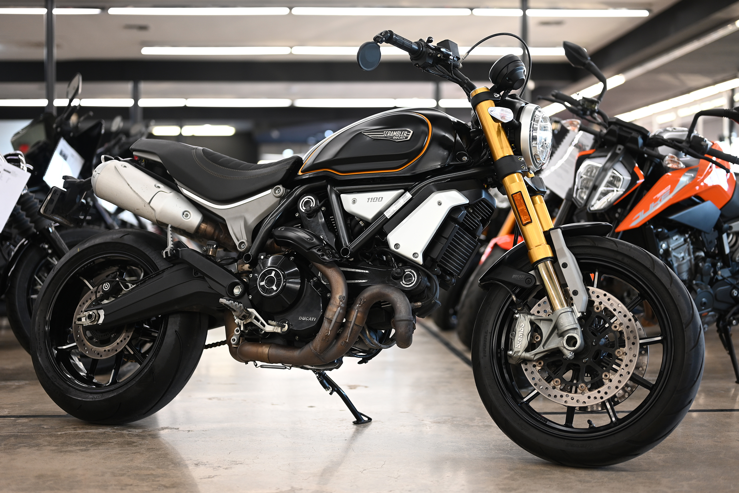 2019 Ducati SCRAMBLER 1100 SPORT 1100 SPORT in Lemon Grove, CA