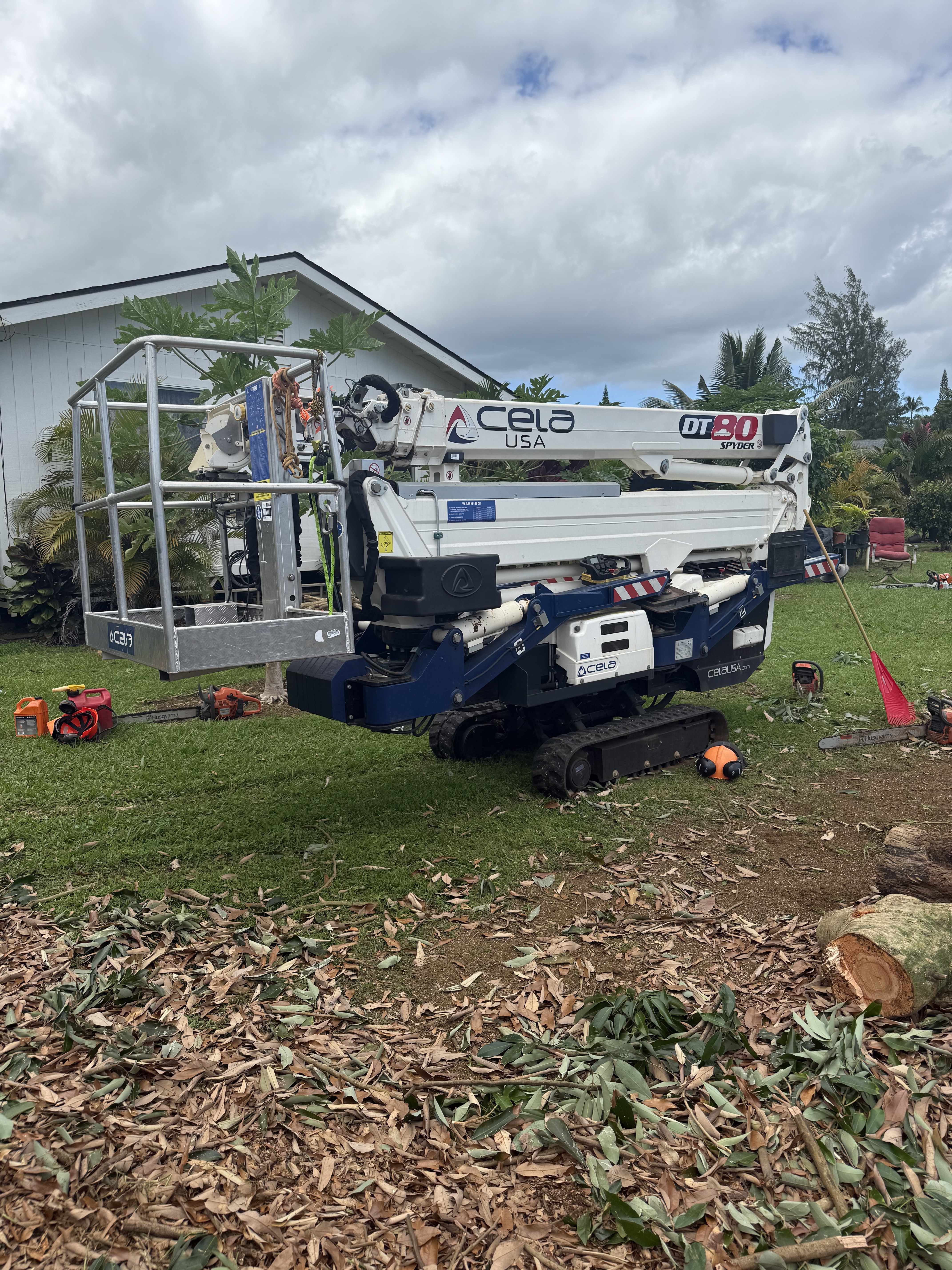 2021 CELA DT80 in Kapaa, HI