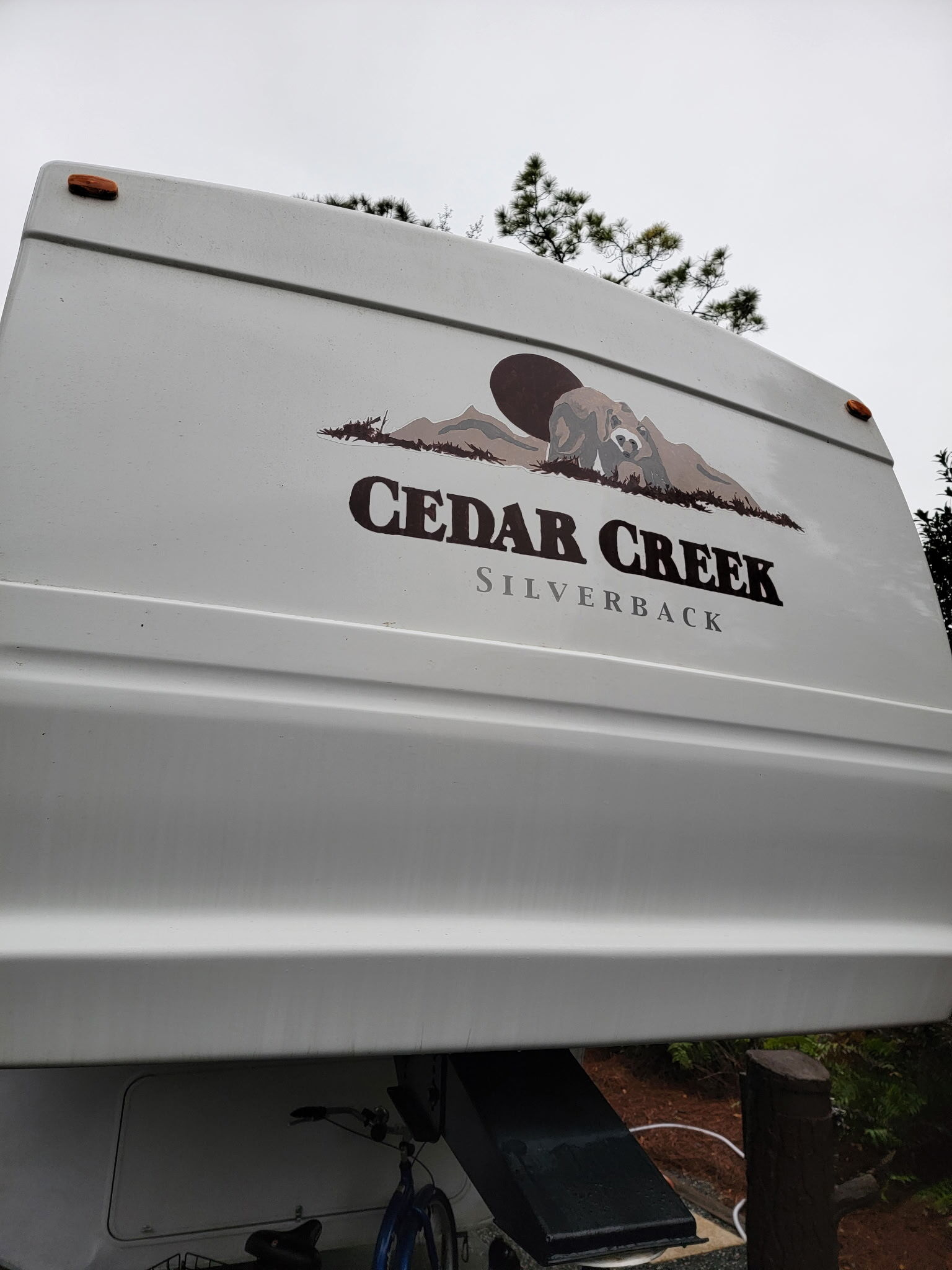 2004 Forest River CEDAR CREEK SILVERBACK 29LRLBS RV