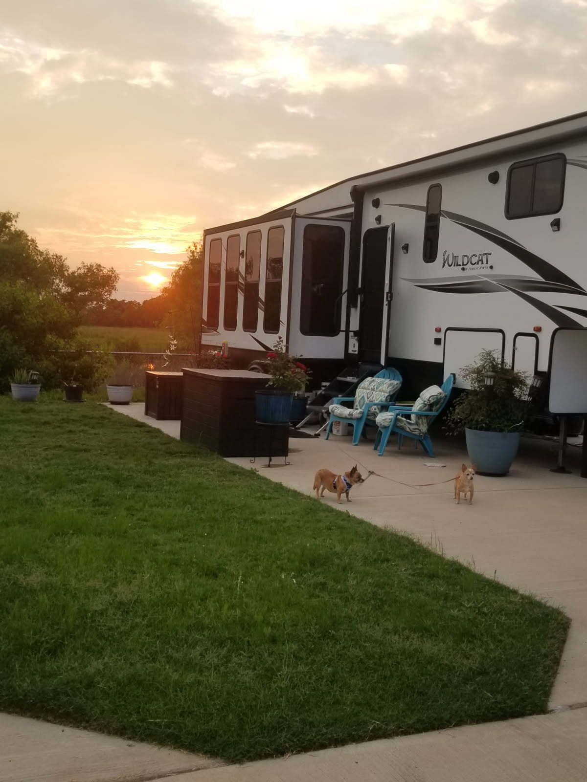 2019 Forest River WILDCAT 32WB in houston TX