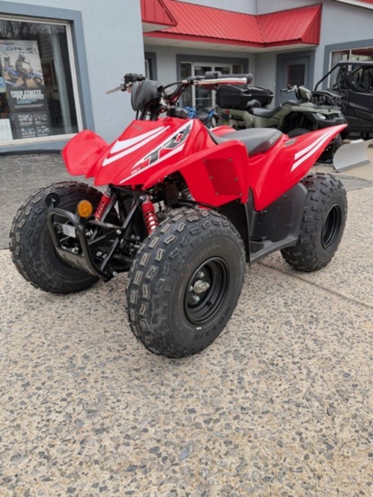 2026 Honda® TRX90X in palmerton PA