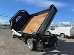 2015 INTERNATIONAL TERRASTAR