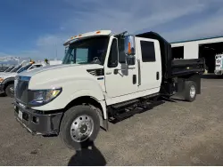 2015 INTERNATIONAL TERRASTAR