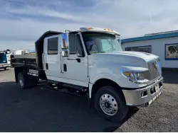 2015 INTERNATIONAL TERRASTAR