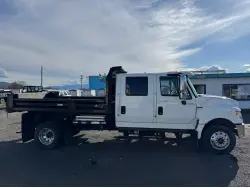 2015 INTERNATIONAL TERRASTAR