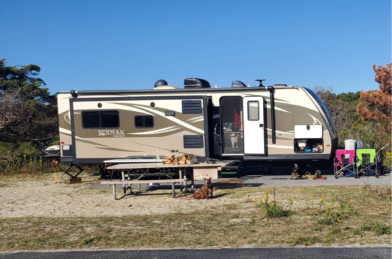 A photo of this 2016 Dutchmen KODIAK ULTRA LITE 291RESL