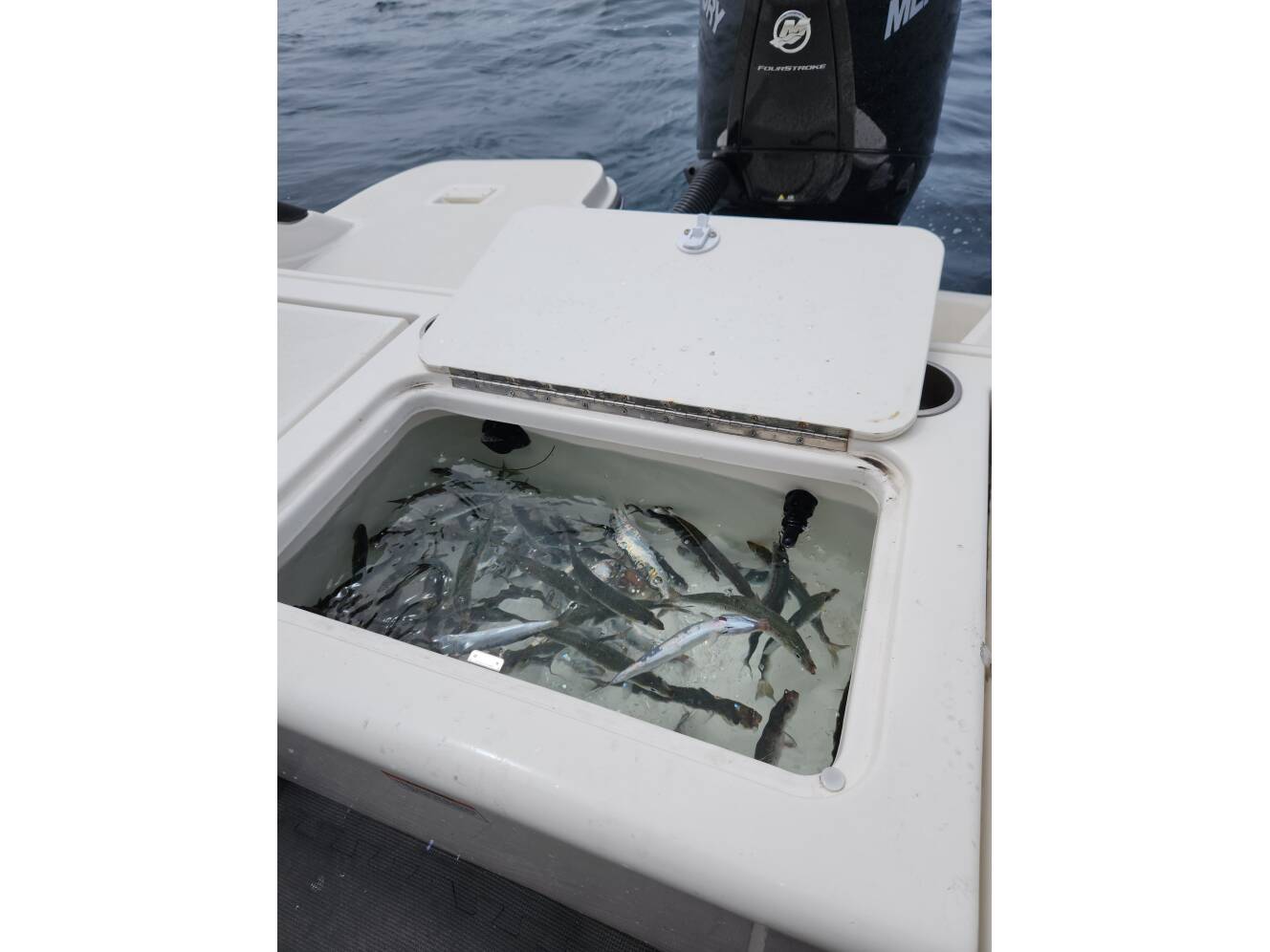 A photo of this 2022 Bayliner T22cc