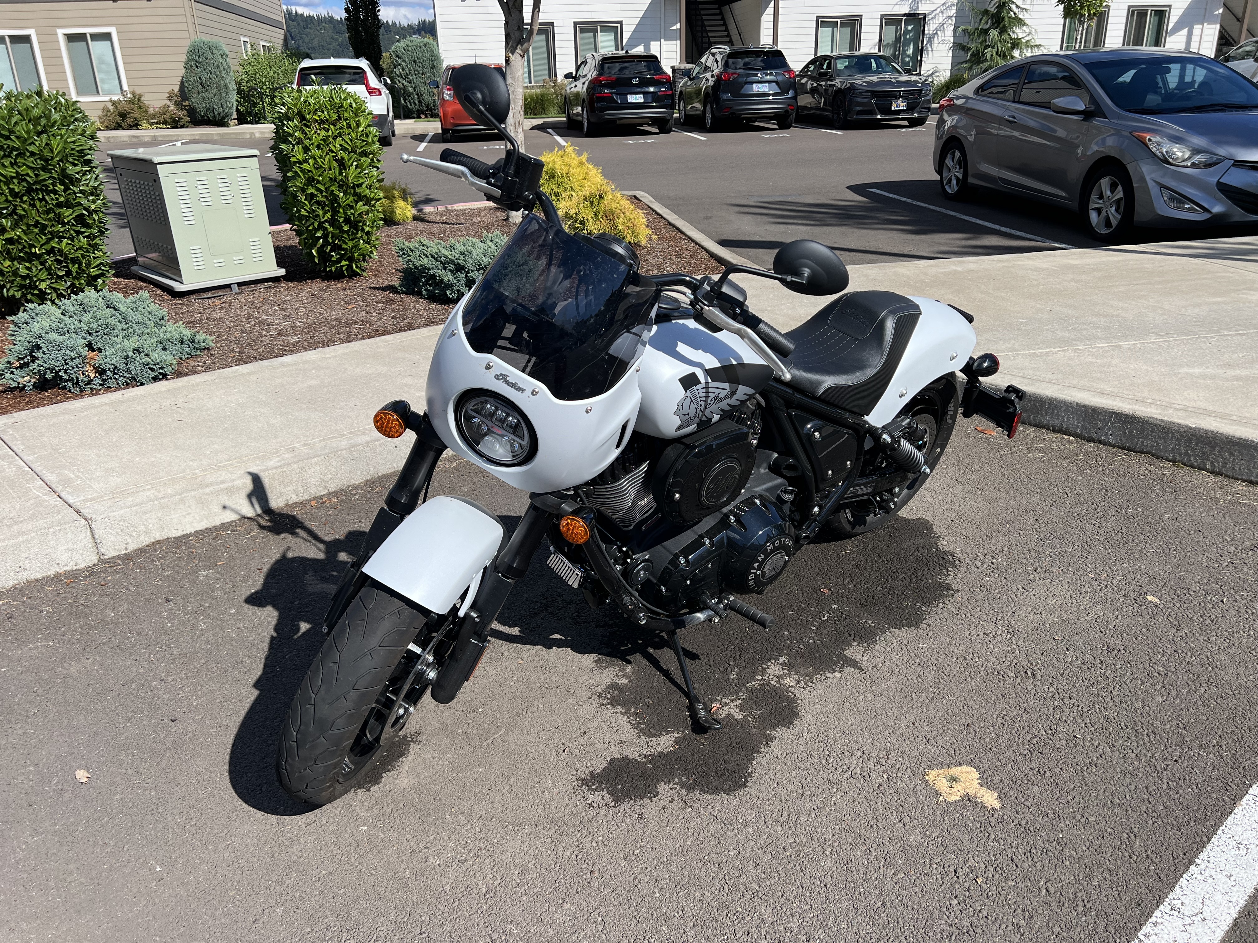 2024 Indian SPORT CHIEF BASE BASE in Albany, OR