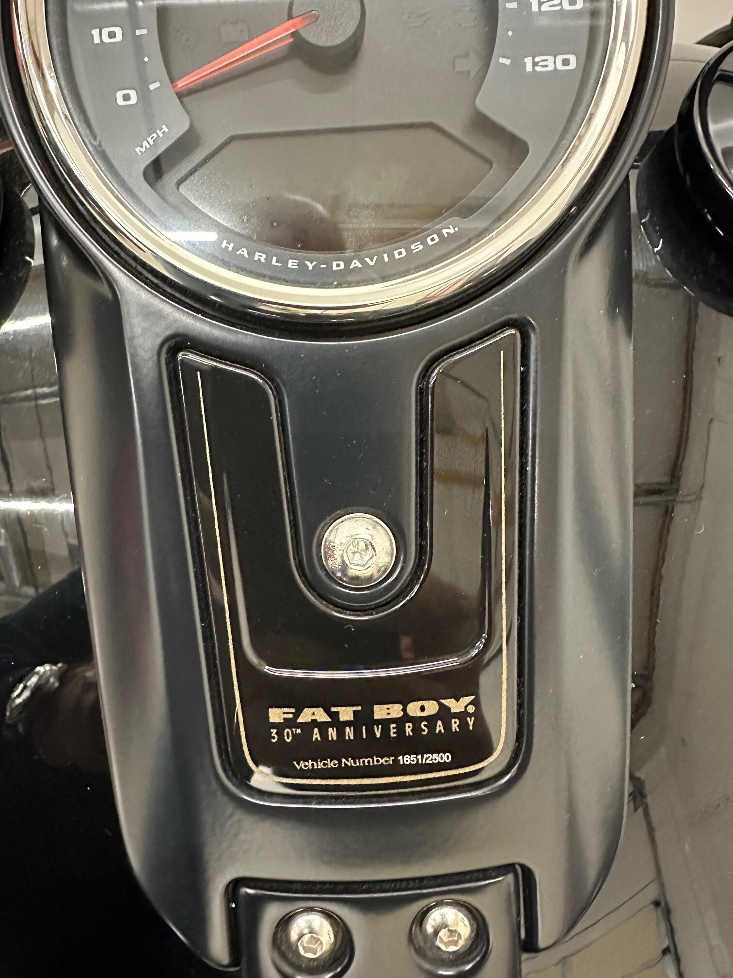2020 Harley-Davidson FAT BOY 114 114 in Scottsdale, AZ