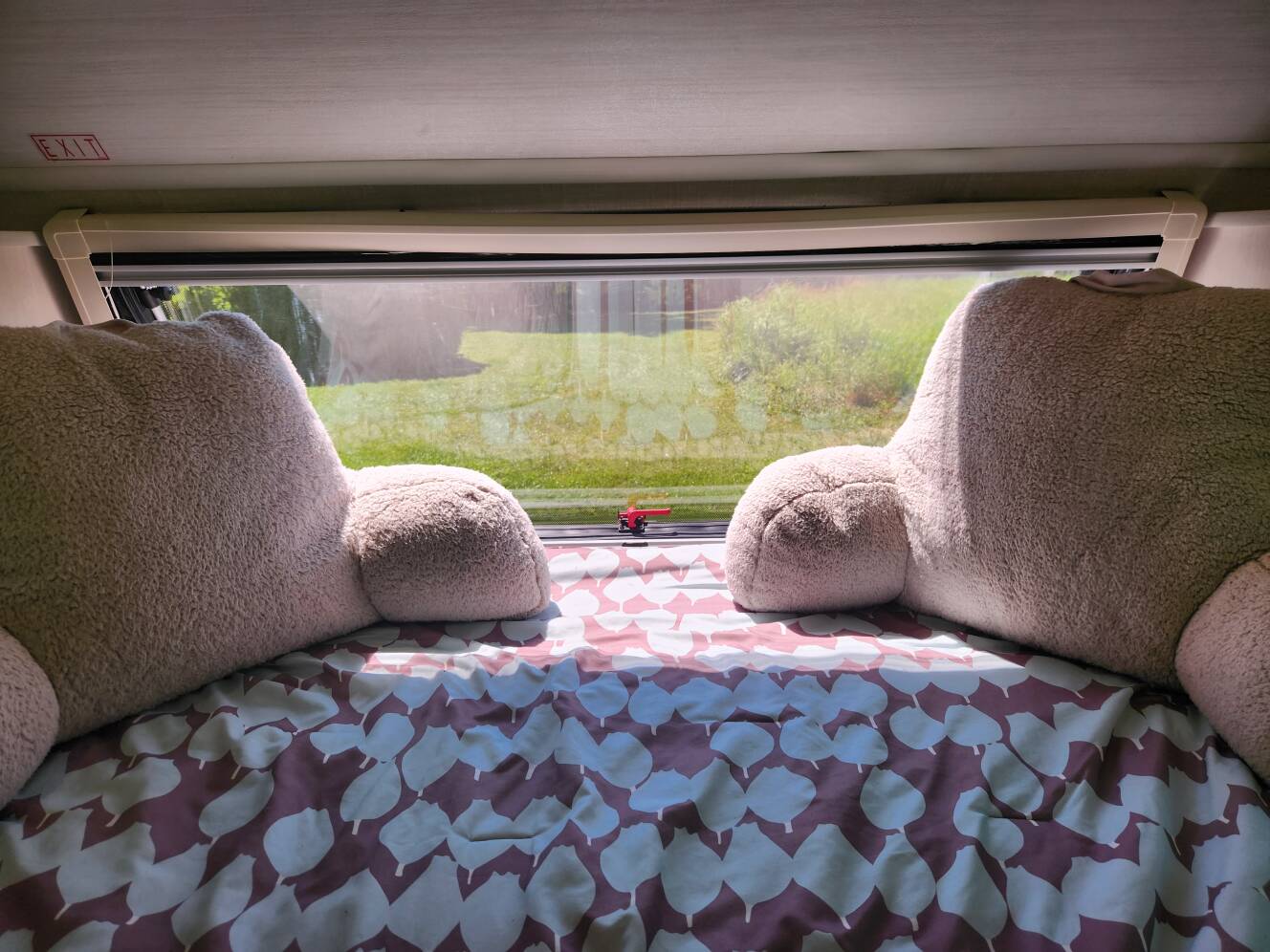 A photo of this 2022 Forest River R-POD 196