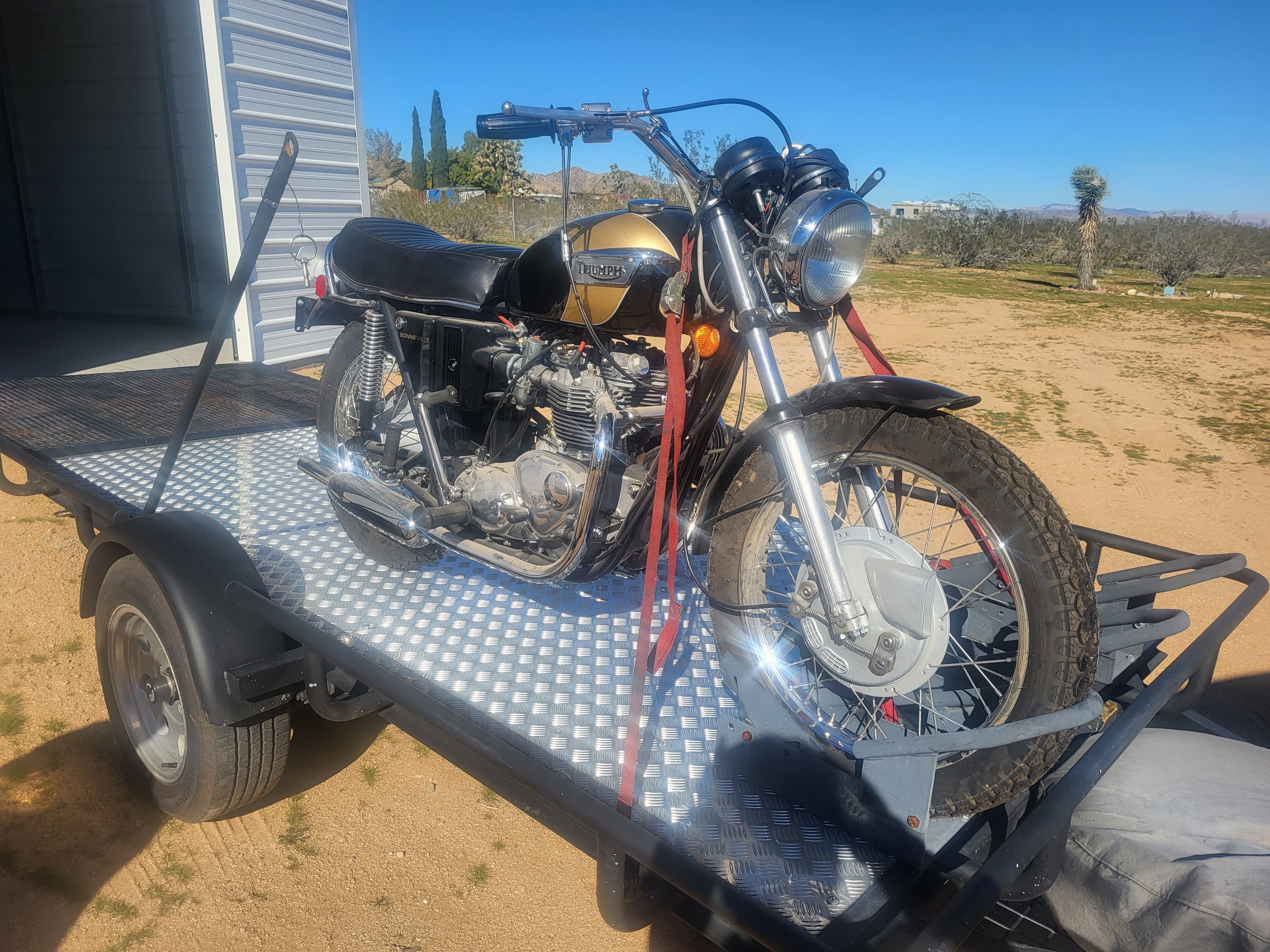 1971 Triumph BONNEVILLE T120 BLACK GOLD LINE BLACK GOLD LINE in Morongo Valley, CA