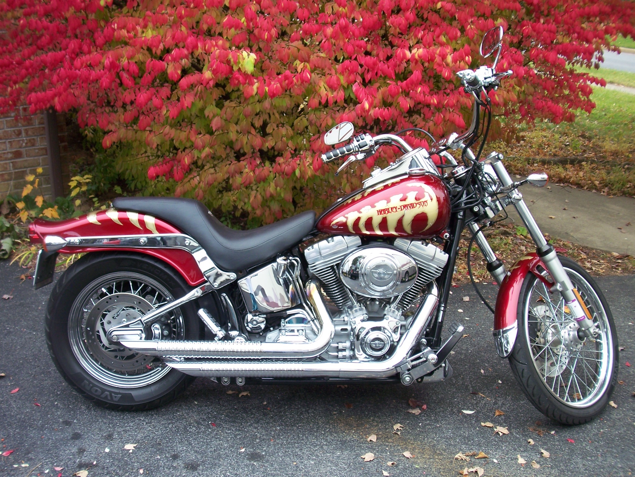 2003 Harley-Davidson SOFTAIL FXST FXST in State College, PA