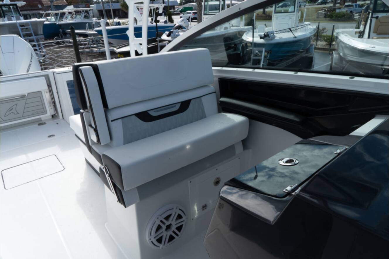 A photo of this 2024 Blackfin 272DC