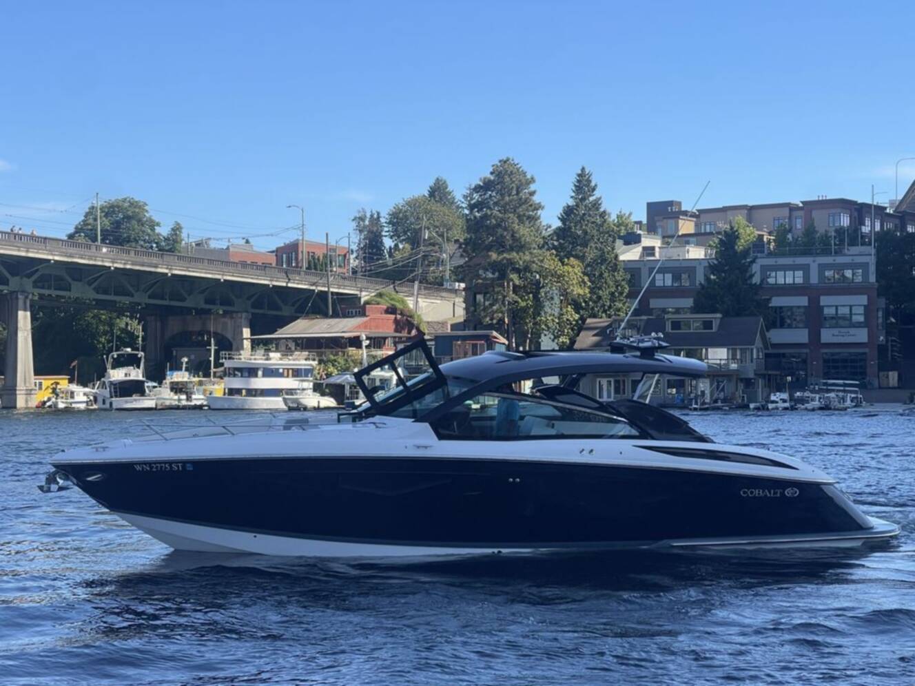 A photo of this 2019 Cobalt Boats A36