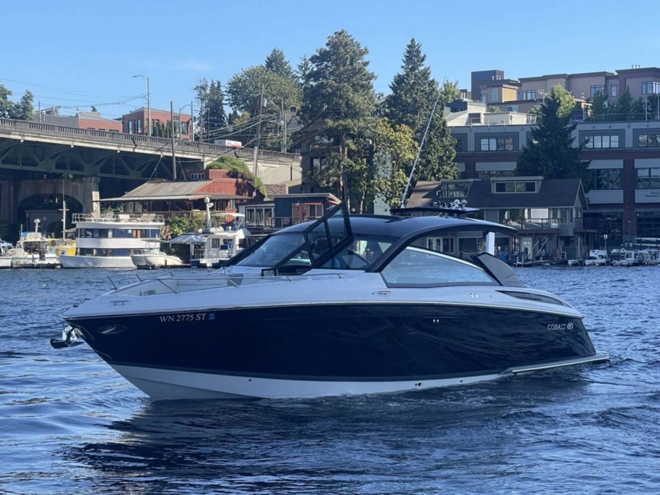 A photo of this 2019 Cobalt Boats A36