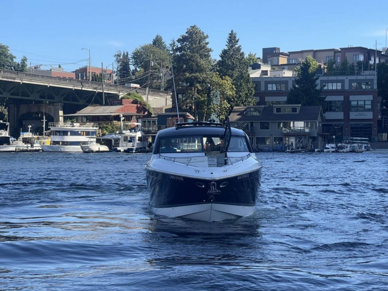 A photo of this 2019 Cobalt Boats A36