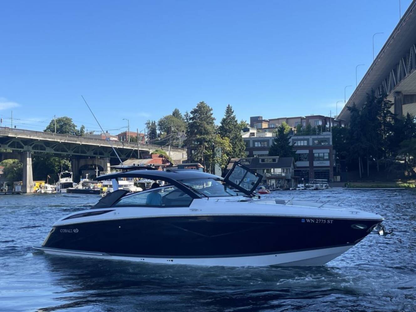 A photo of this 2019 Cobalt Boats A36