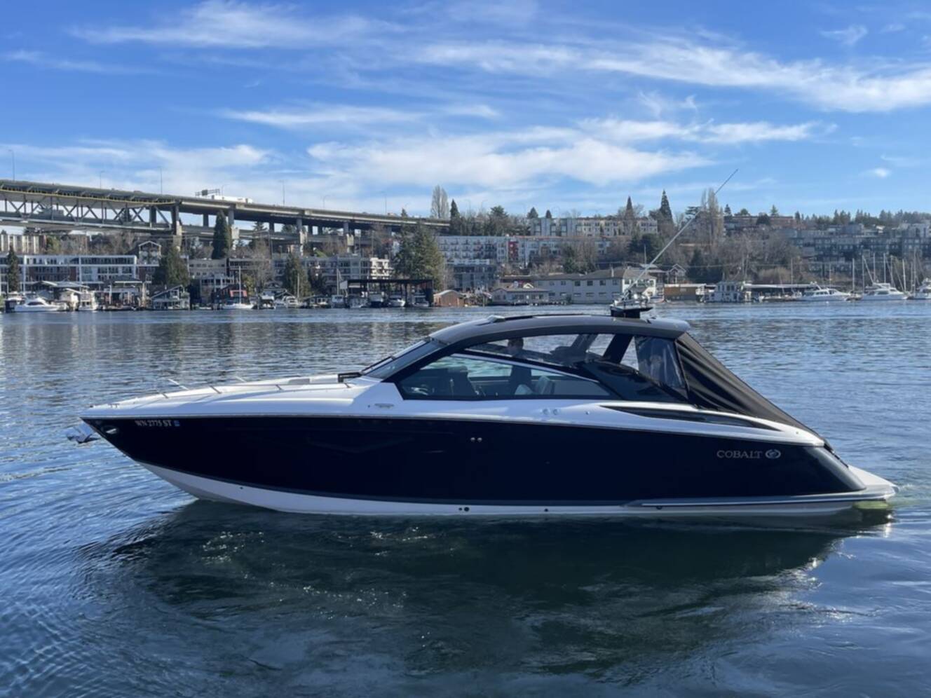 A photo of this 2019 Cobalt Boats A36