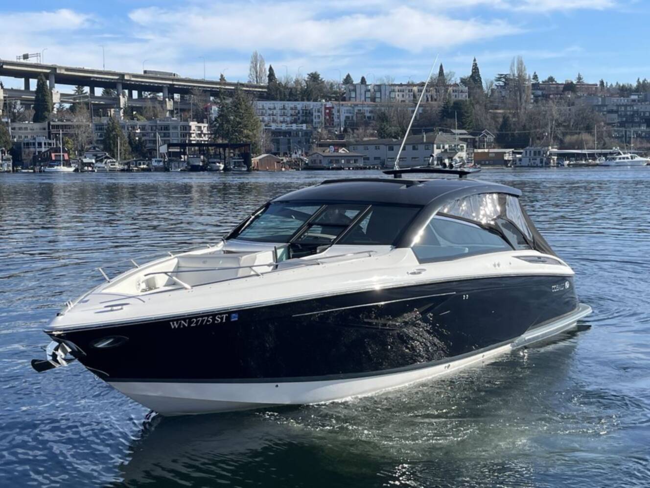 A photo of this 2019 Cobalt Boats A36