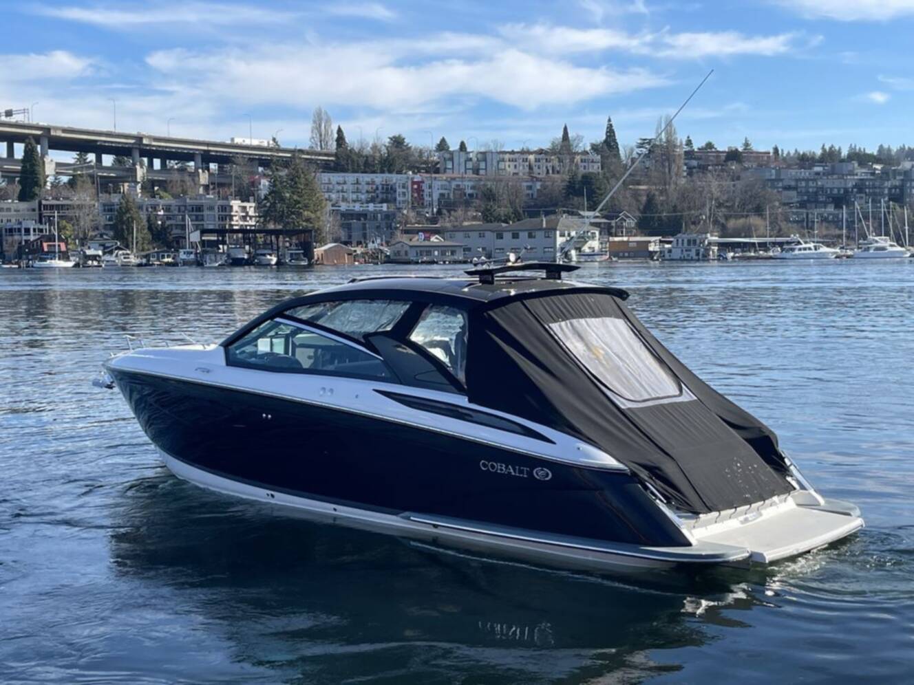 A photo of this 2019 Cobalt Boats A36