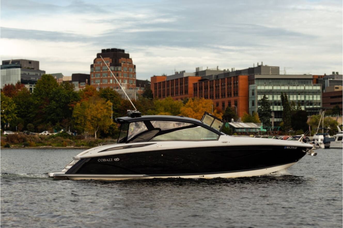 A photo of this 2019 Cobalt Boats A36