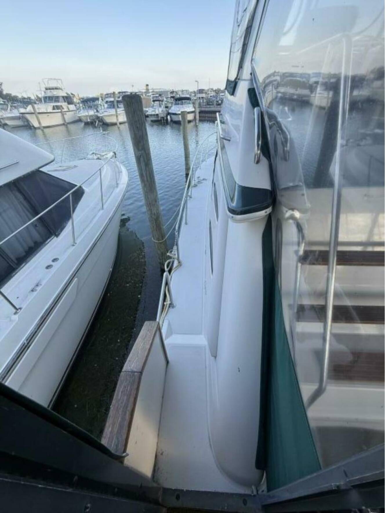 A photo of this 1988 Sea Ray 415