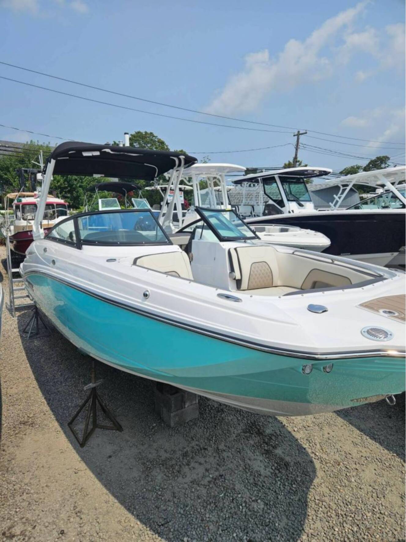 A photo of this 2024 Monterey M65